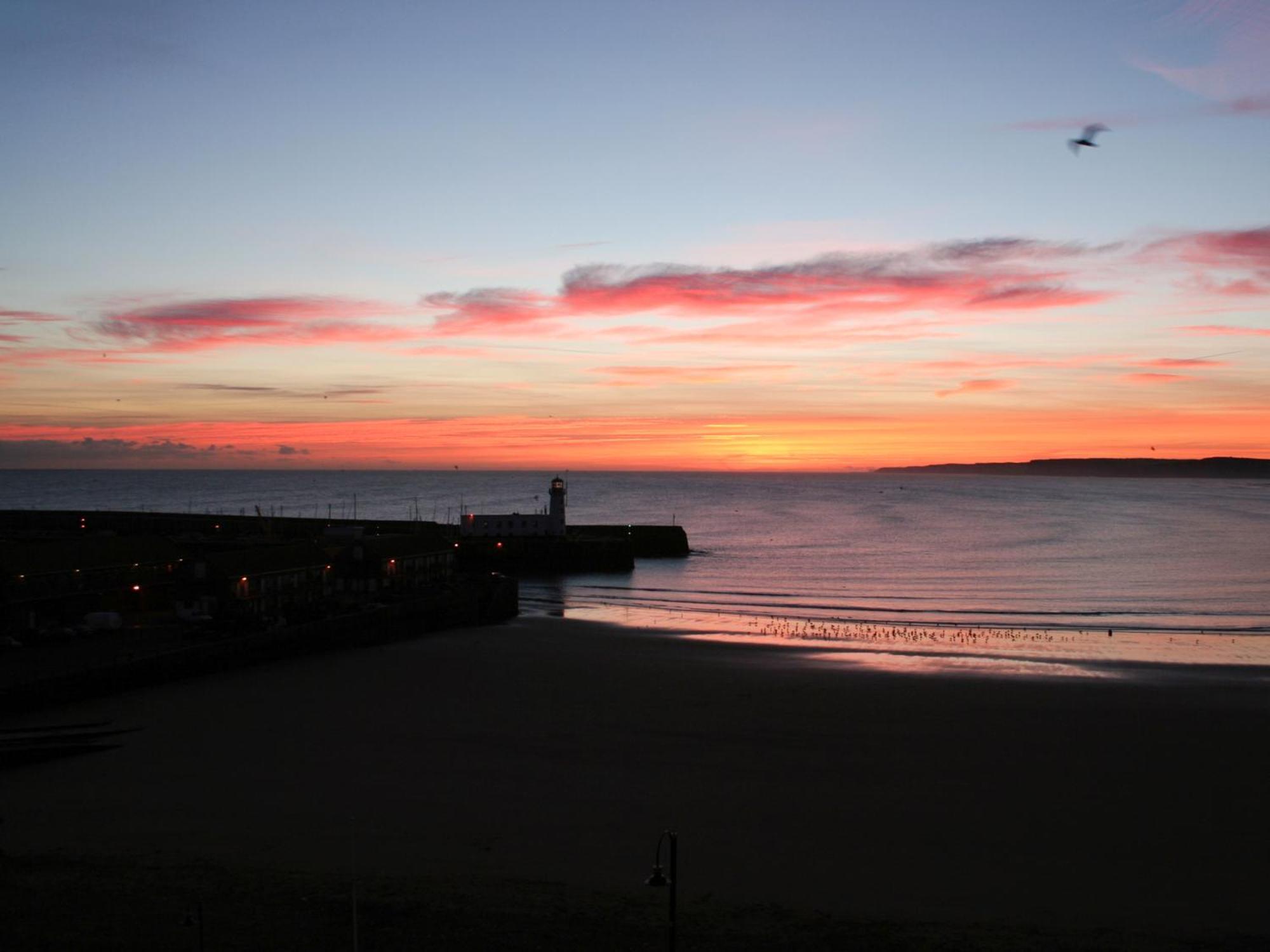 Waimea Apartments - Sea Views South Bay Scarborough Free Parking Exterior foto